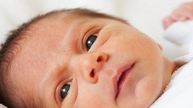 Informazioni Bonus beb&egrave; 2015 