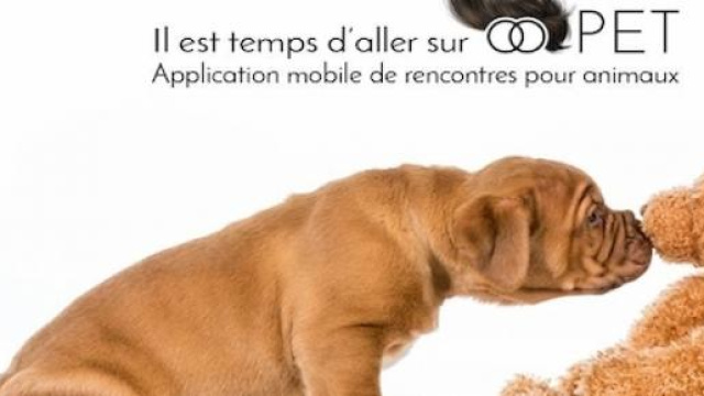 Oopet love pour rompre la solitude des animaux.