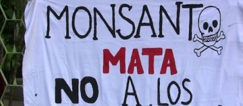 Monsanto complice del crimen de los agrot&oacute;xicos
