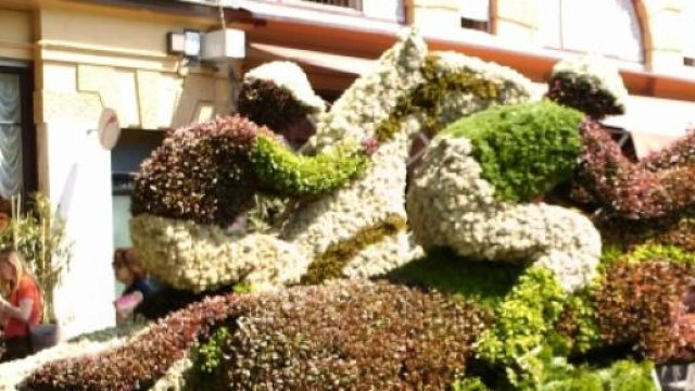 Sondaggi Regionali 2015, ecco le corse clandestine