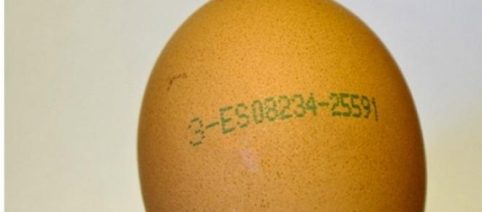 Significado del código impreso en los Huevos