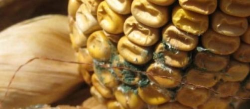 Sufrimos las consecuencias de la contaminaci&oacute;n 