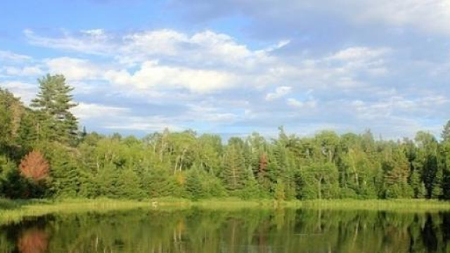 Giornata europea dei parchi 2015 24/05/2015