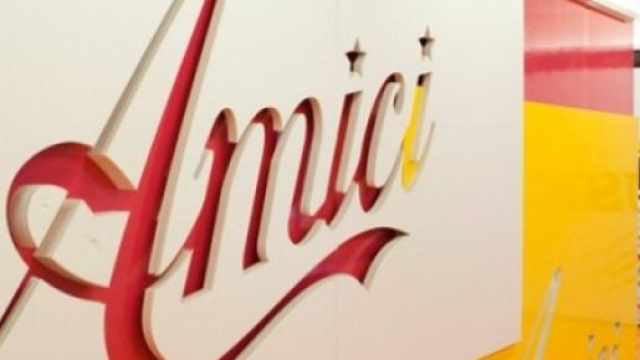 Casting Amici 15, tutte le info