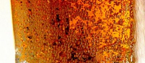 Refrescante y nocivo vaso de cerveza