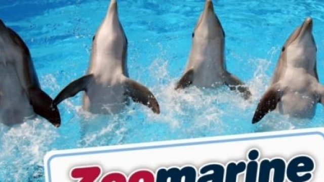 Zoomarine il parco divertimenti di Roma