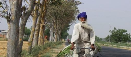 Anciano en bicicleta. India. Fuente: pixabay.com