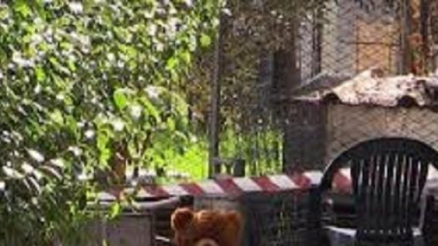 Il giardino dove &egrave; avvenuta la tragedia.