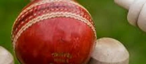 England have appointed Trevor Bayliss as coach