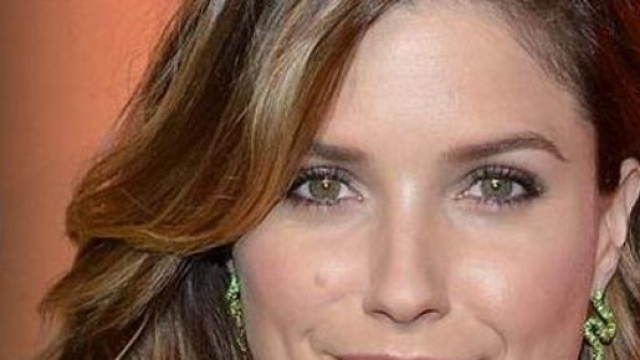 Lob disordinato di Sophia Bush
