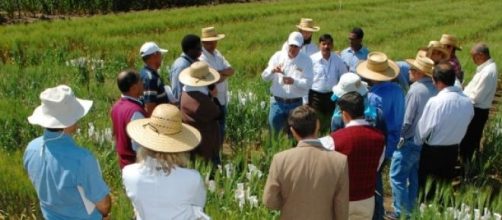 Agricultores reunidos en un campo de cultivo