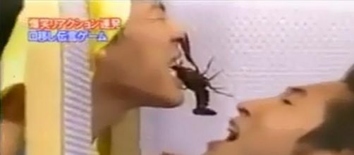 El juego nip&oacute;n de pasarse anmales con la boca.