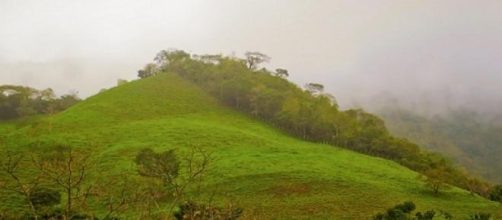 Lluvia de peces, fen&oacute;meno y ficci&oacute;n 