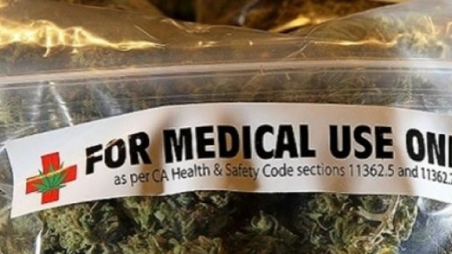 A giugno inizia la vendita della cannabis italiana