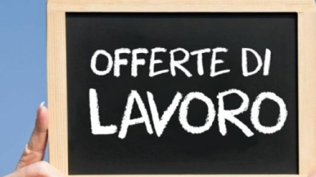 Offerte di lavoro, Bandi di Concorso 2015
