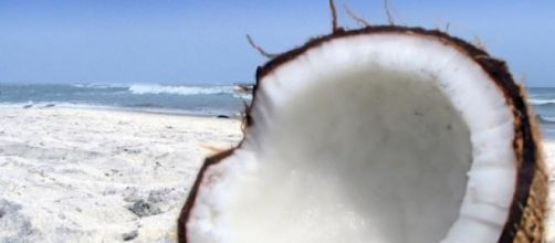 El aceite de coco tiene muchas vitaminas