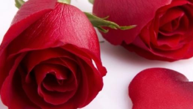 Festa della mamma 2015: data e origini