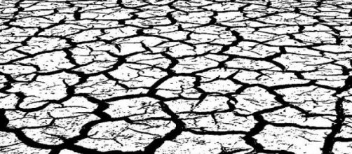 La aceptaci&oacute;n de la pol&iacute;tica argentina