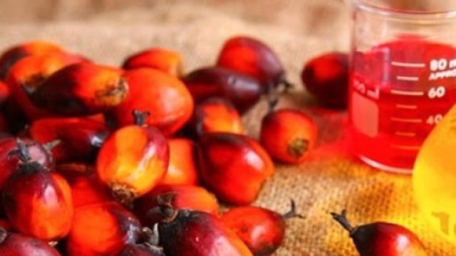 Attenti alle etichette prima di acquistare!