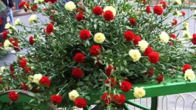 Festa della mamma cosa regalare, lavoretti, storia