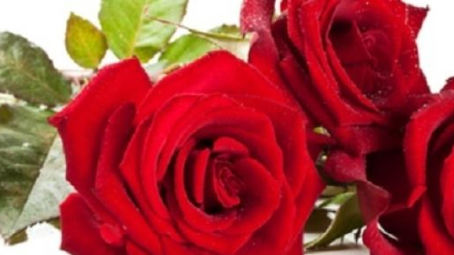 Festa della mamma 2015: quando si festeggia?