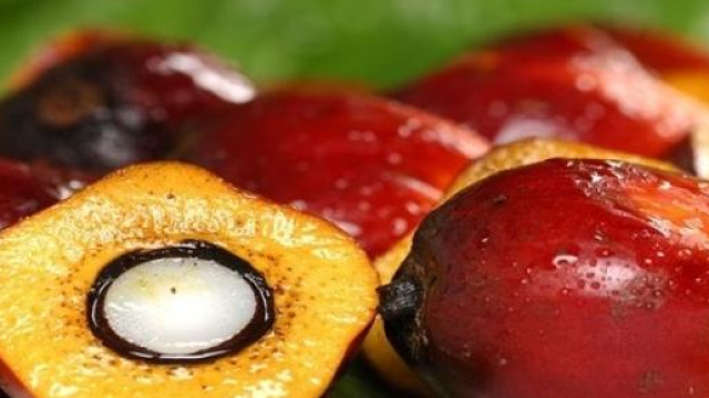 Frutto da cui &egrave; ricavato l'olio di palma