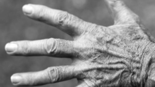 Rimborso pensioni, informazioni e novit&agrave; al 6/5