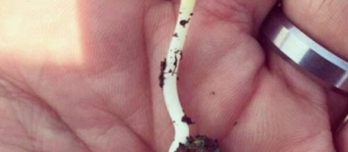 It seems like it's a done deal! 