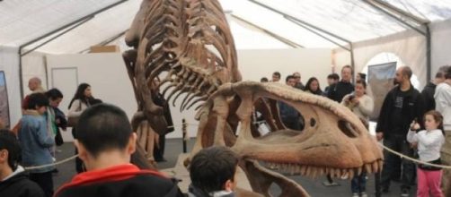La muestra de dinosaurios, imperdible