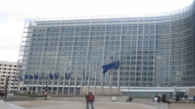 La Commissione Europea si esprime sul caso Xylella