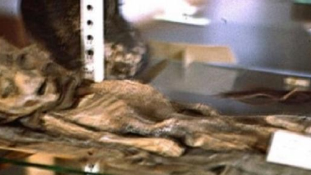 Ufo: ecco foto inedite di alieno a Roswell 