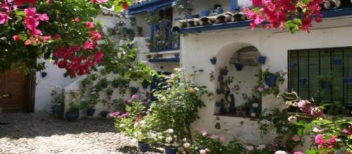 Patios de C&oacute;rdoba floridos