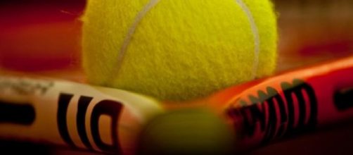 French Open success for Federer and Murray