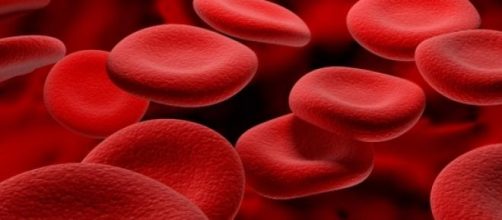 Gl&oacute;bulos rojos en el torrente sangu&iacute;neo 