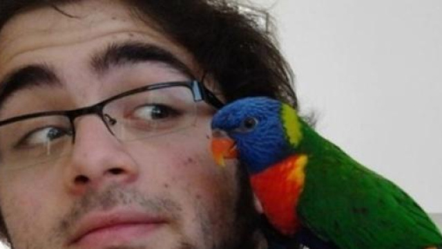 Giallo Domenico Maurantonio, news aggiornate