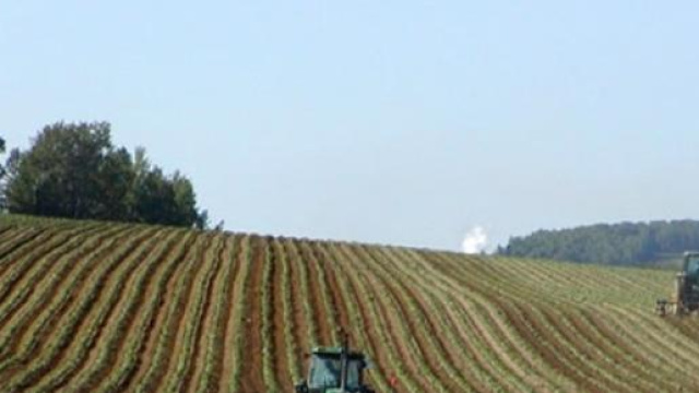 S&igrave; a finanziamenti per neo imprenditori agricoli