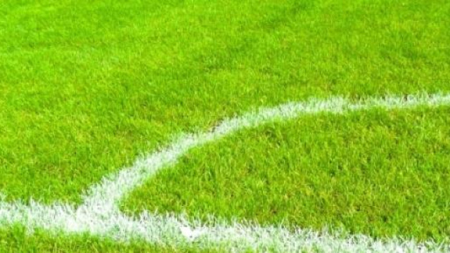 Coppa America: Colombia-Venezuela e Brasile-Per&ugrave;