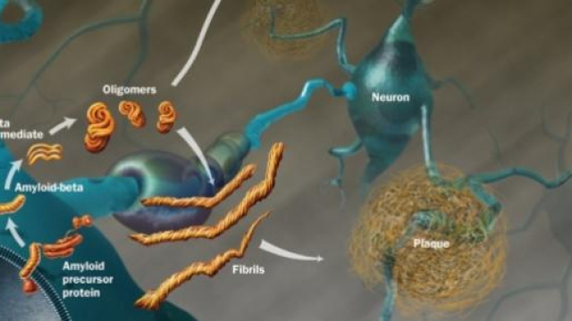 Formazione delle fibrille e delle placche amiloidi
