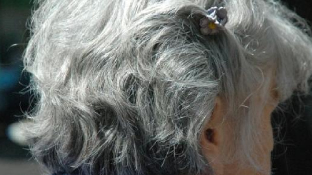 Pensioni, ultimissime al 12/6: prosegue dibattito