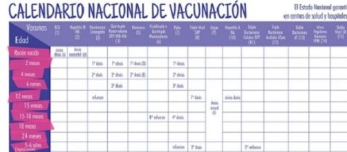 importancia del Cronograma de Vacunaci&oacute;n