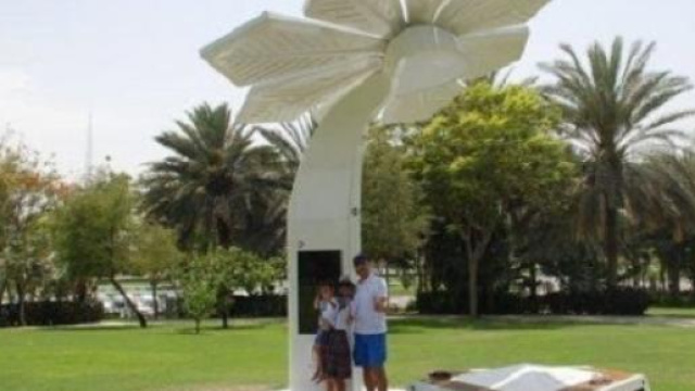 Le Smart Palm con salottino