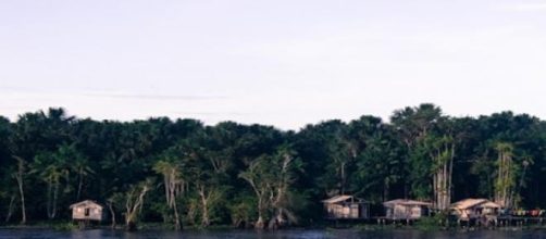 Los m&aacute;rgenes del R&iacute;o Amazonas