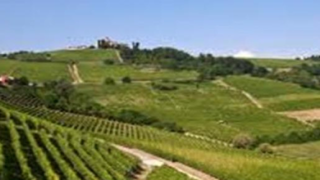 Langhe scenario ideale del festival Collisioni