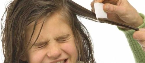 Como acabar de vez com os piolhos.