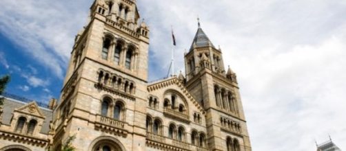 El Museo est&aacute; atacado por una plaga de polillas