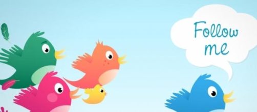 Seguidores en twitter, la clave para tu empresa
