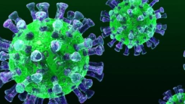 Virus Mers: che cos'&egrave;, come si trasmette