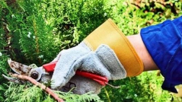 Comune di Roma assumer&agrave; 400 operatori del verde