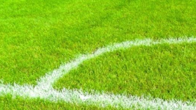 Ecco come potrebbe giocare la Roma 2015-2016