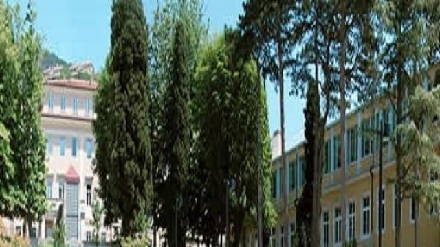 Il Rittmeyer di Trieste cerca Oss